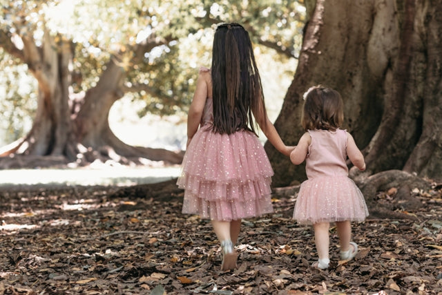 Clara Ballerina dress . Pink