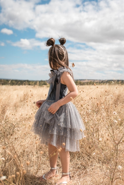 Clara ballerina dress. Vintage Blue