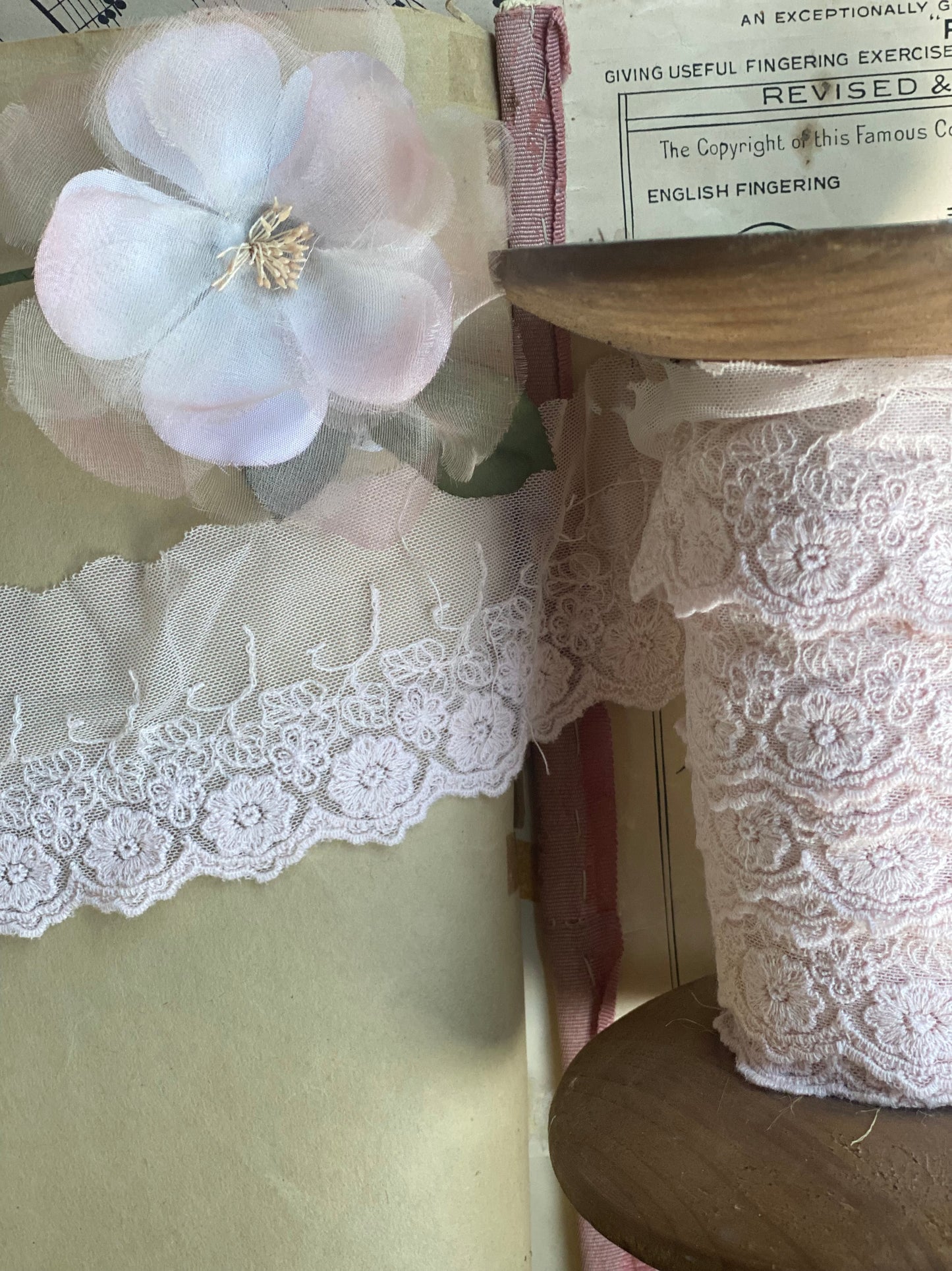 Vintage lace. Powder Pink