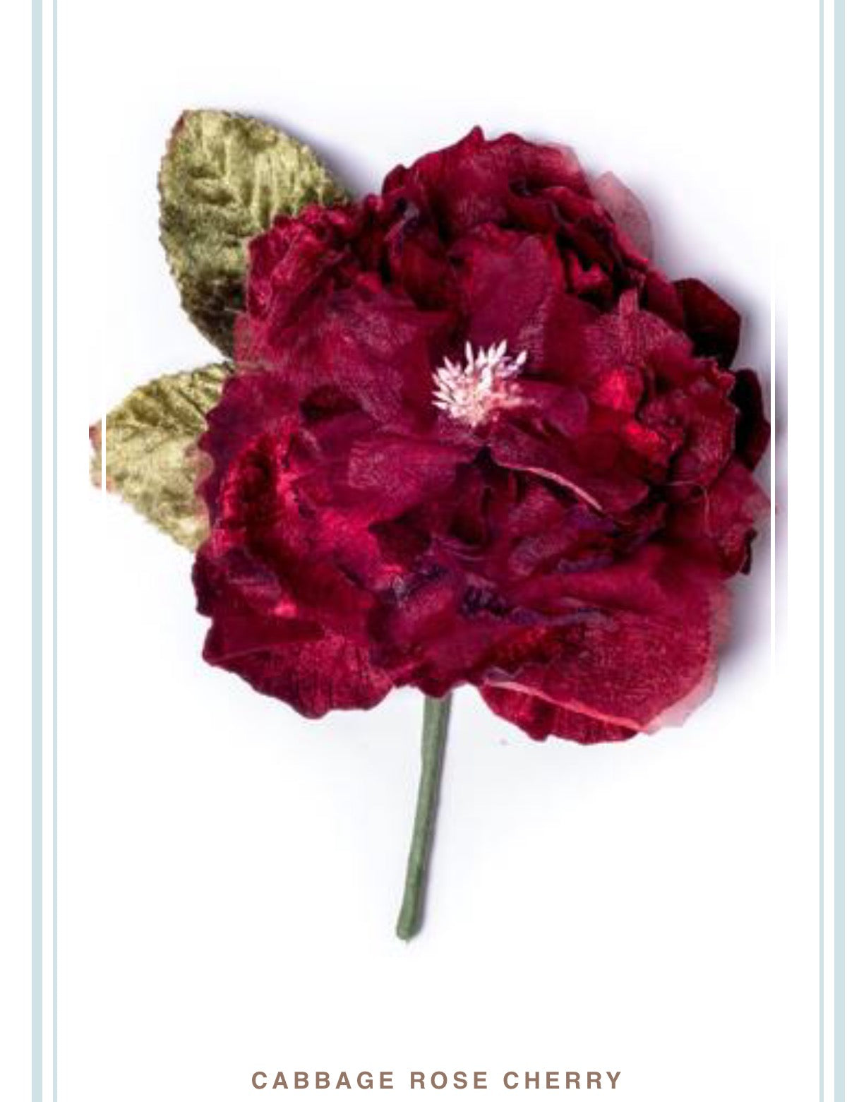 CABBAGE ROSE CHERRY