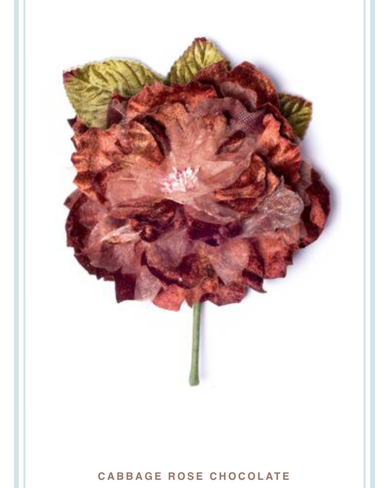CABBAGE ROSE CHOCOLATE