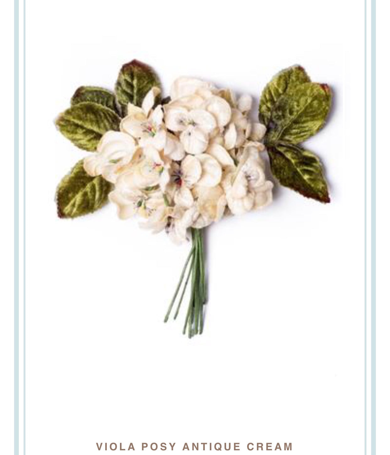 viola posy ...antique cream