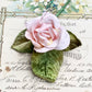 Velvet rose. Pink