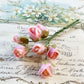 Rosebud Posy. Pink.