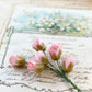 Rosebud Posy. Pink.