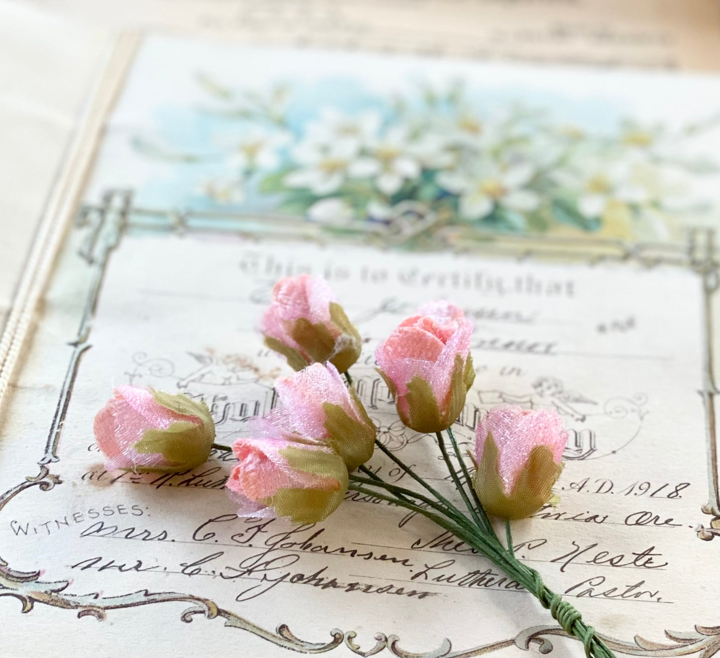 Rosebud Posy. Pink.