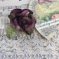 Velvet rose. Vintage Purple