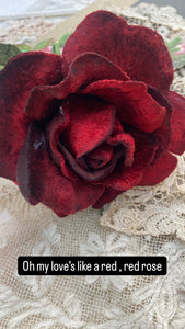 Red Velvet rose.