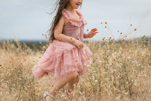 Clara Ballerina dress . Pink