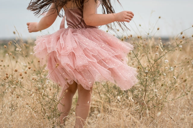 Clara Ballerina dress . Pink