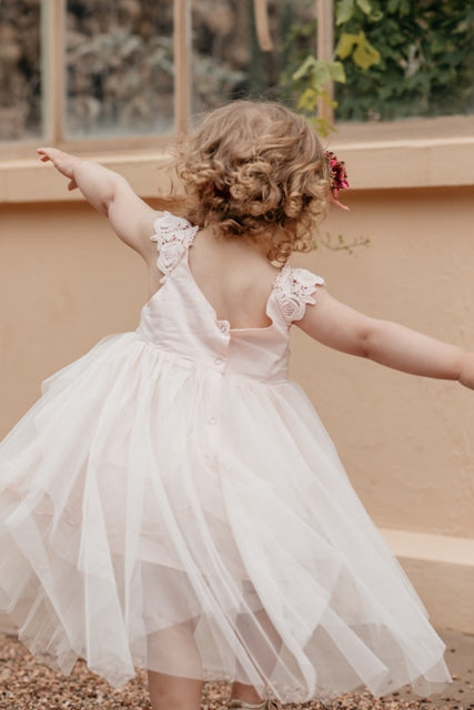 Aurora Fairy dress. pale pink