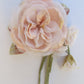 Pink Peony, Pink velvet peony,