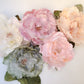 Cabbage Rose Pink