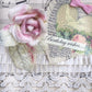 velvet rose. small velvet rose.