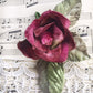 velvet rose. small velvet rose.