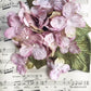 Velvet hydrangea posy pale vintage mauve