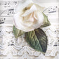 velvet rose. small velvet rose.