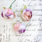 Dogwood Rose Posy lilac and peach