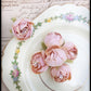 Dogwood Posy pale peach.