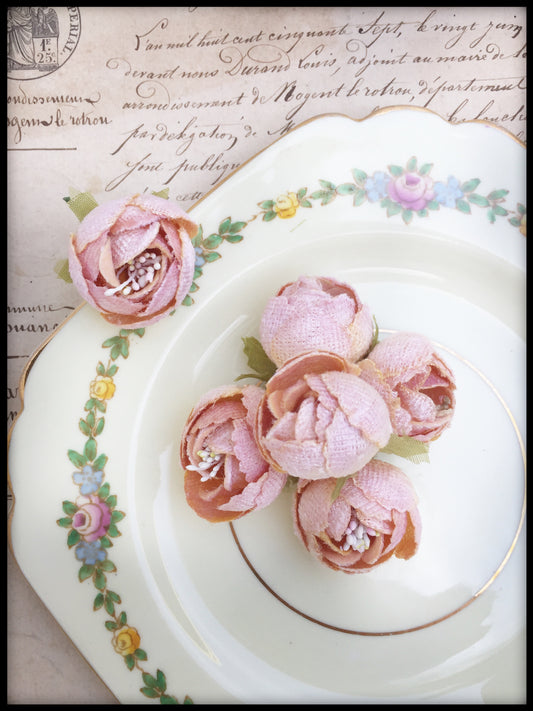 Dogwood Posy pale peach.