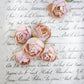 Dogwood Posy pale peach.