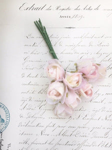 rosebud posy. velvet rosebuds.