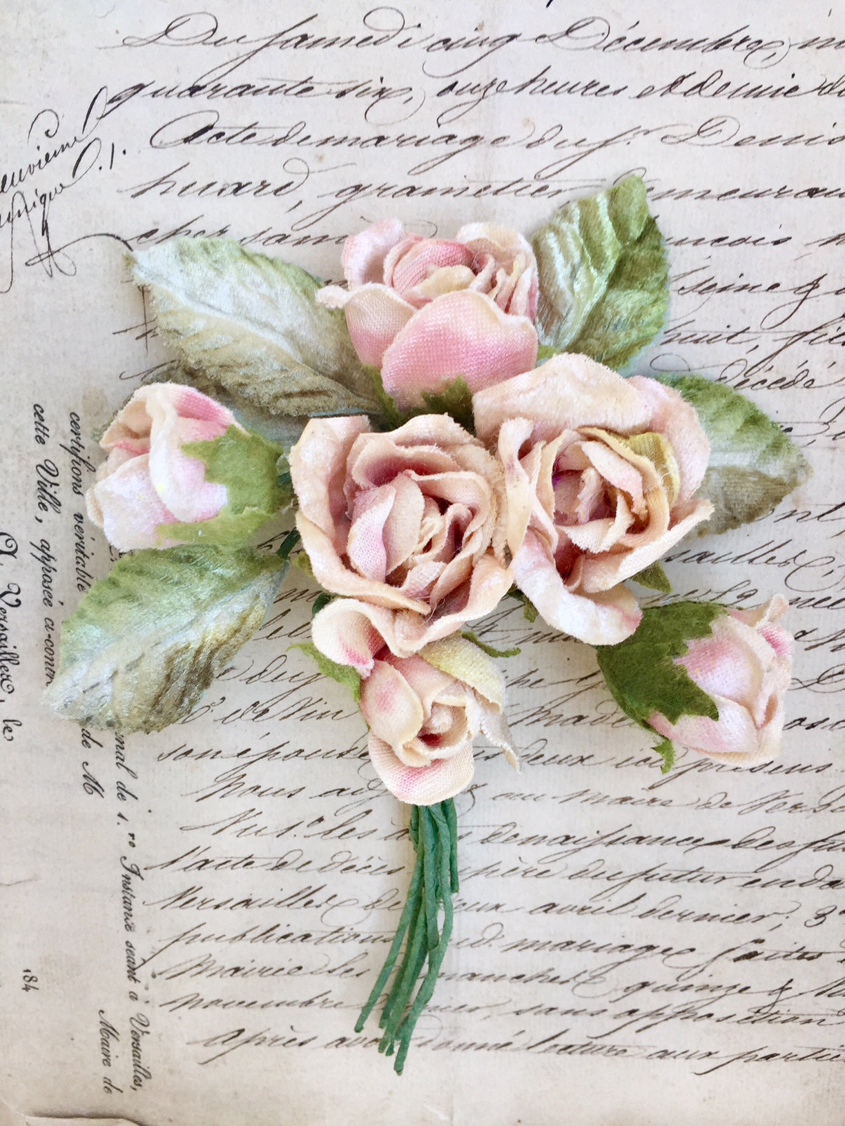 Rose Posy. English Rose Posy.