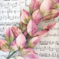 coral pink velvet leaf stem