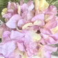 velvet hydrangea posy. fairy cream and pink.