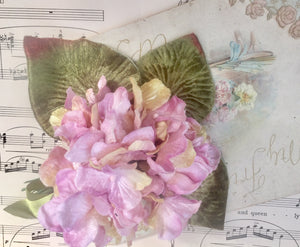 velvet hydrangea posy. fairy cream and pink.