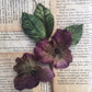 velvet Pansy. Antique Purple