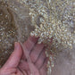 Gold Glittered Lace ... wide scalloped edging