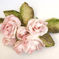 Rose Posy. English Rose Posy.