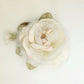 Peony rose. velvet rose.