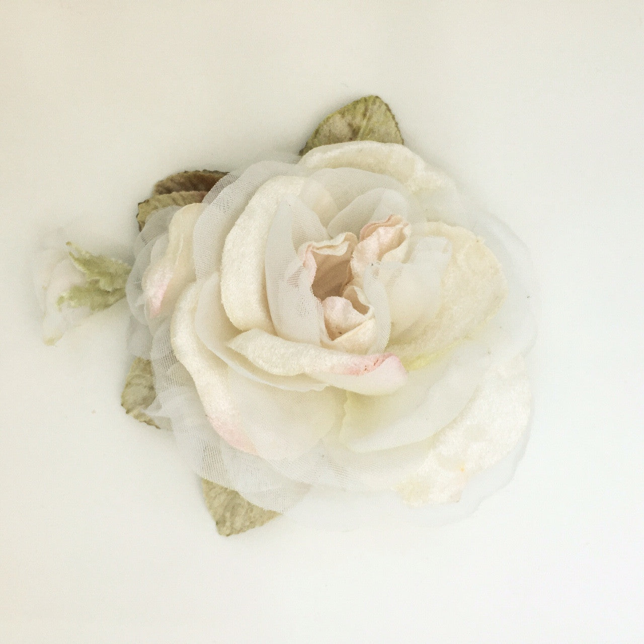 Peony rose. velvet rose.