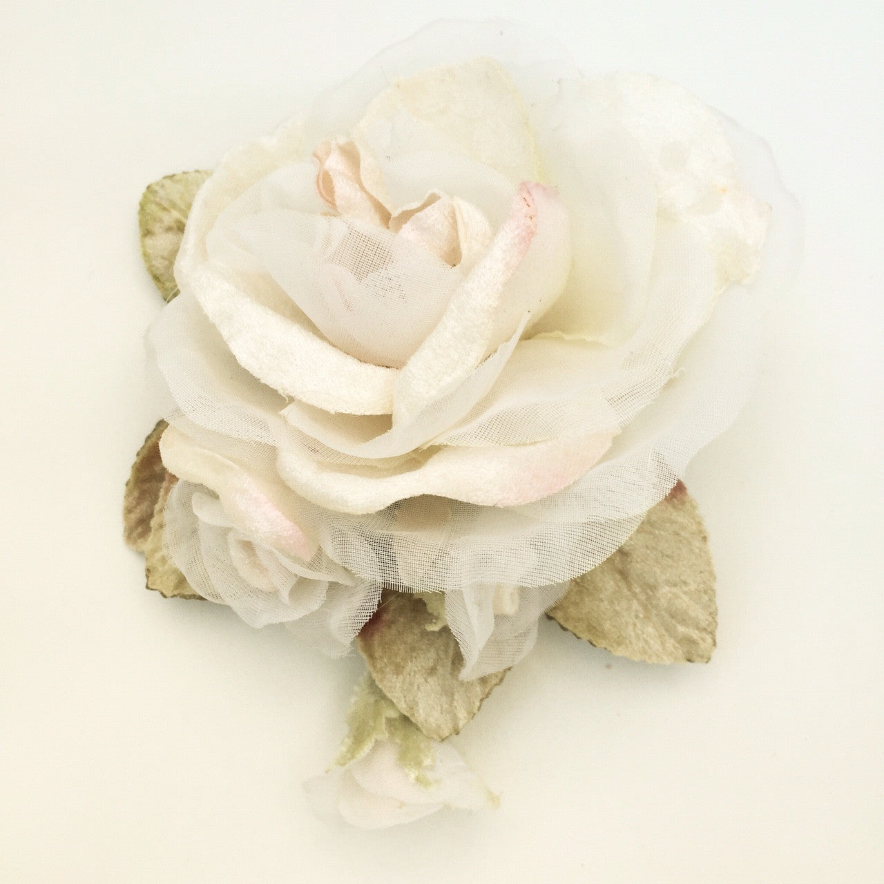 Peony rose. velvet rose.