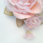 Pink Peony, Pink velvet peony,