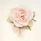 Pink Peony, Pink velvet peony,