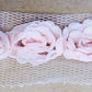 ROSEBUD  TRIM PINK