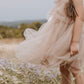 Fairy Floss Tulle Dress . Champagne
