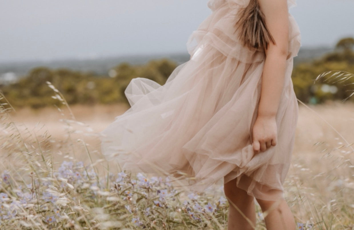 Fairy Floss Tulle Dress . Champagne