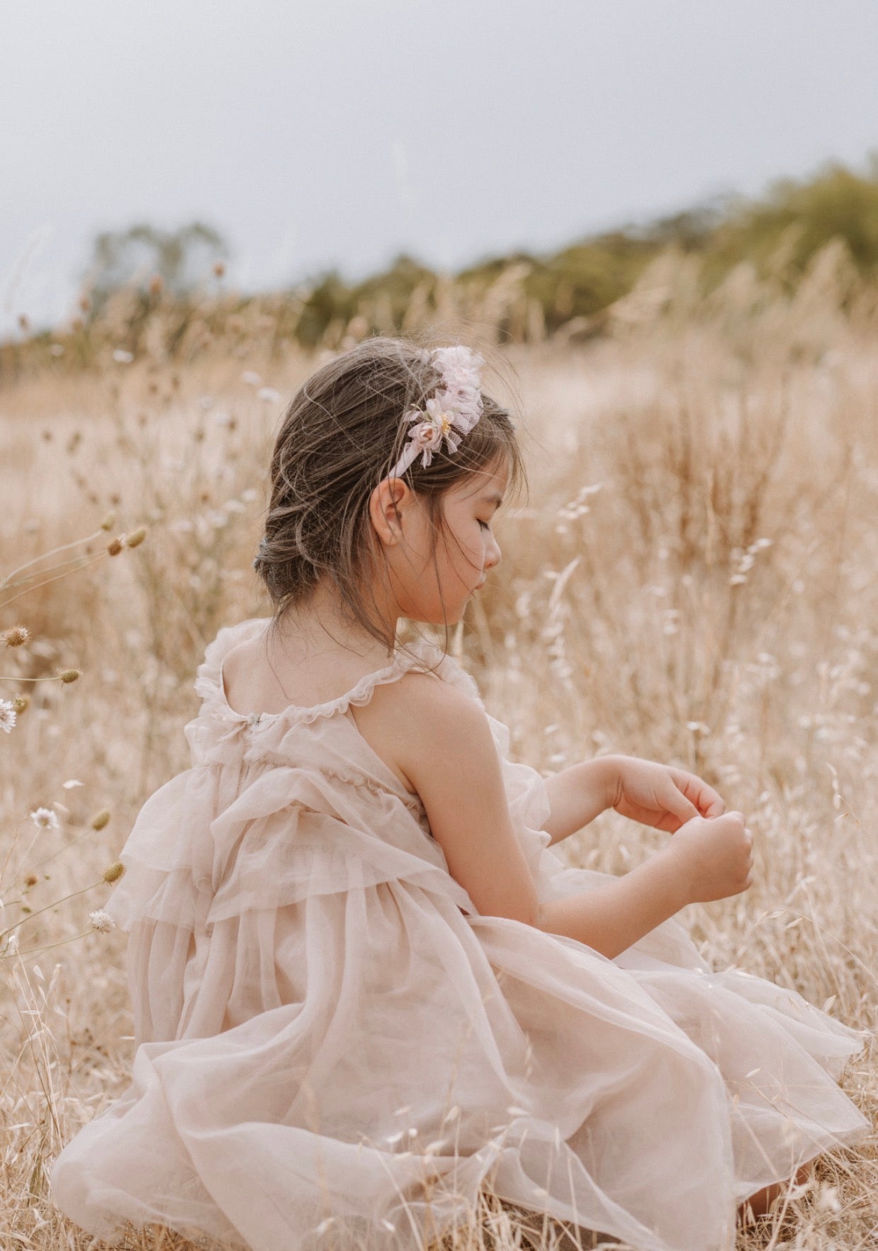 Fairy Floss Tulle Dress . Champagne