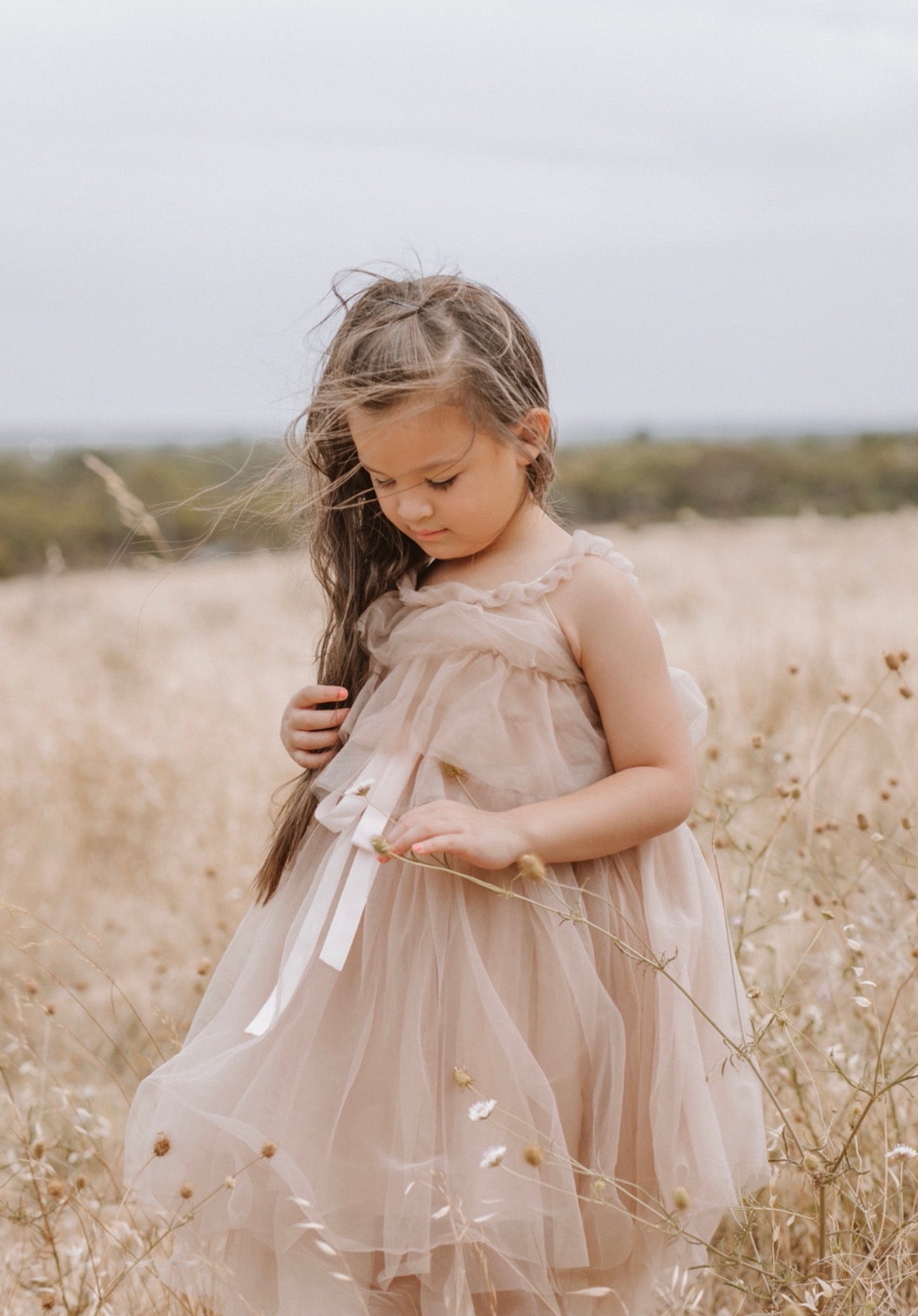 Fairy Floss Tulle Dress . Champagne