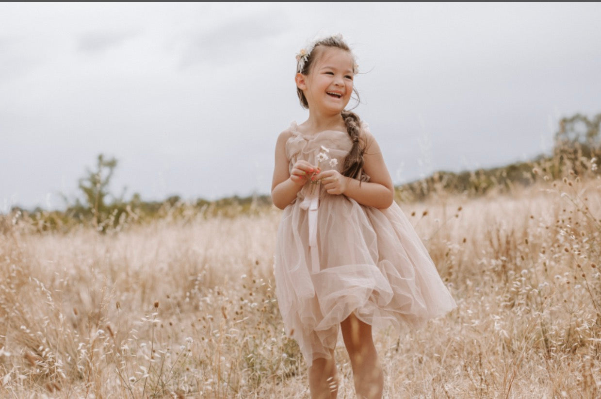 Fairy Floss Tulle Dress . Champagne