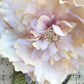 Cabbage Rose. Champagne.