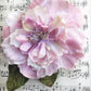 CABBAGE ROSE  Dusty Pink