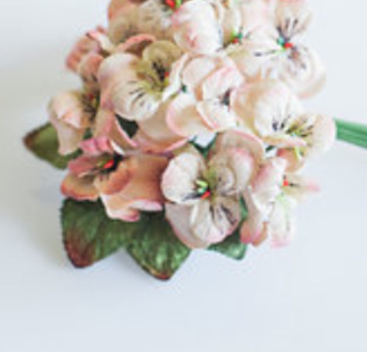 viola posy. Vintage Peach