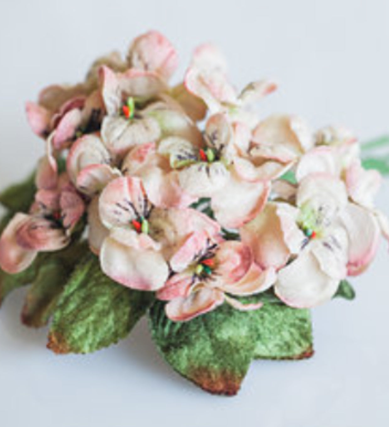 viola posy. Vintage Peach