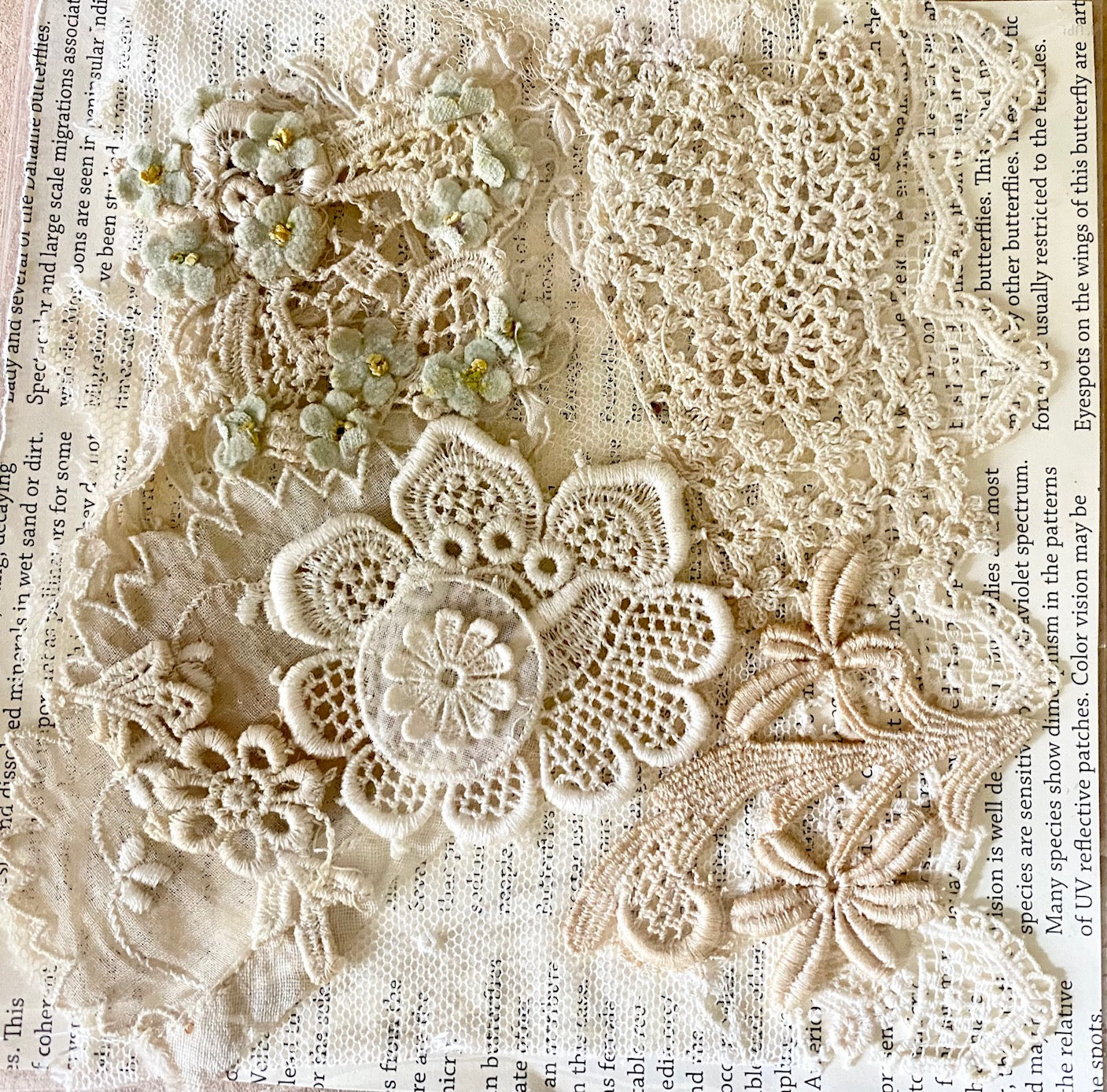 Antique lace collections. Tea