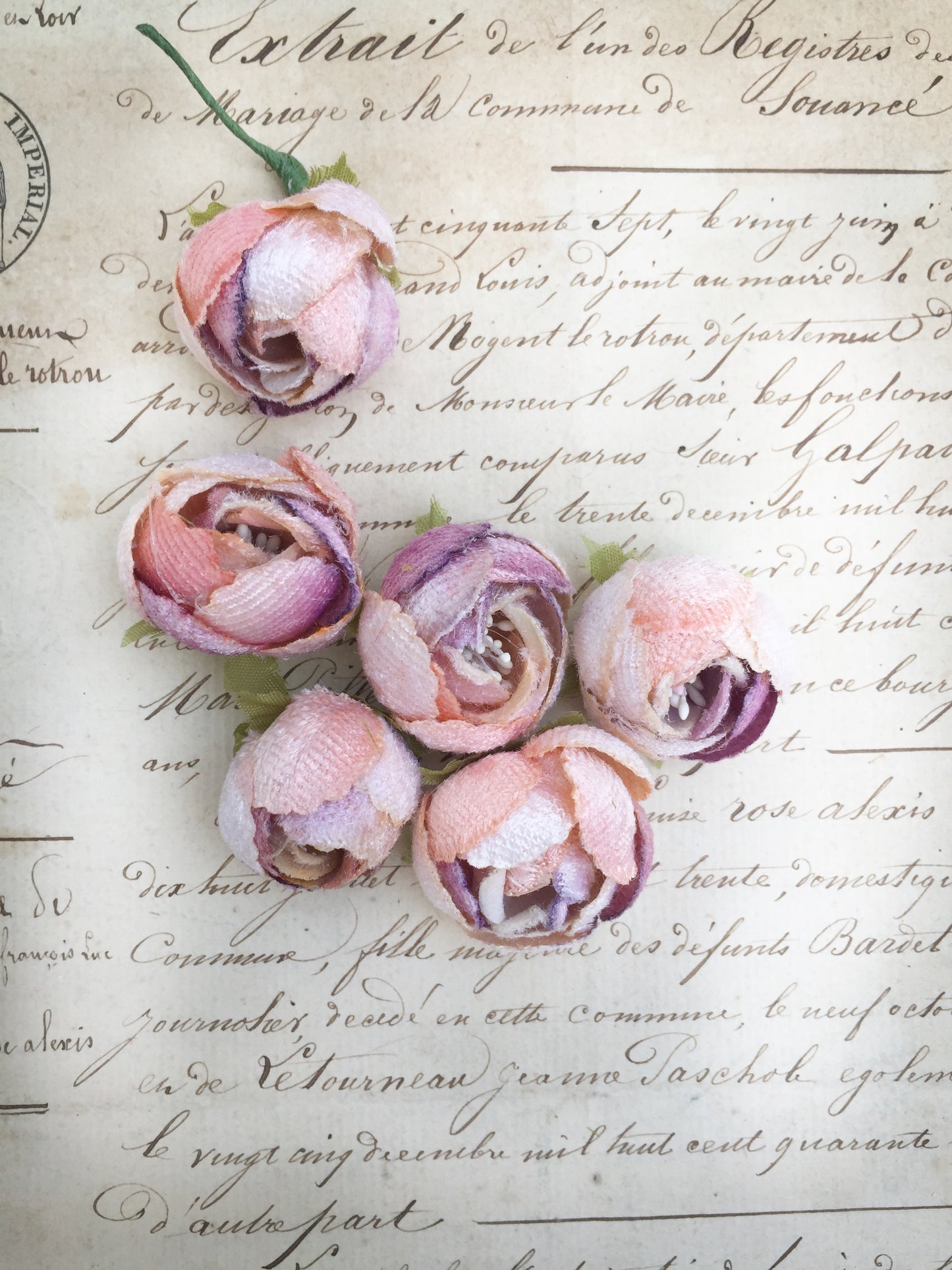 Dogwood Rose Posy lilac and peach